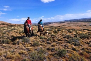 Laguna Blanca: Excursión a la Estancia con Almuerzo de Cordero