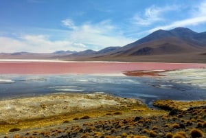 Tour guiado de 3 dias pela Laguna Colorada e pelo Salar de Uyuni