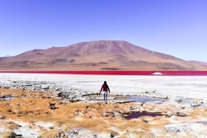 Laguna Colorada en Salar de Uyuni 3-daagse rondleiding met gids