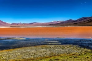 Rundtur i Laguna Colorada och Salar de Uyuni