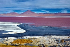 Laguna Colorada and Salar de Uyuni Tour