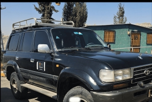 Lago Titicaca: Transporte de dia inteiro de La Paz