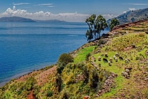 Lake Titicaca: Uros and Taquile Island - Speedboat