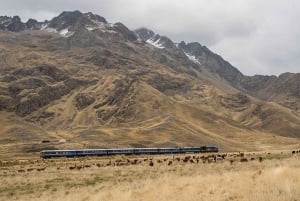 Luxury Overnight Train Ride to Cusco