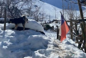 Privat vintur i Maipo-dalen og Andesfjellene