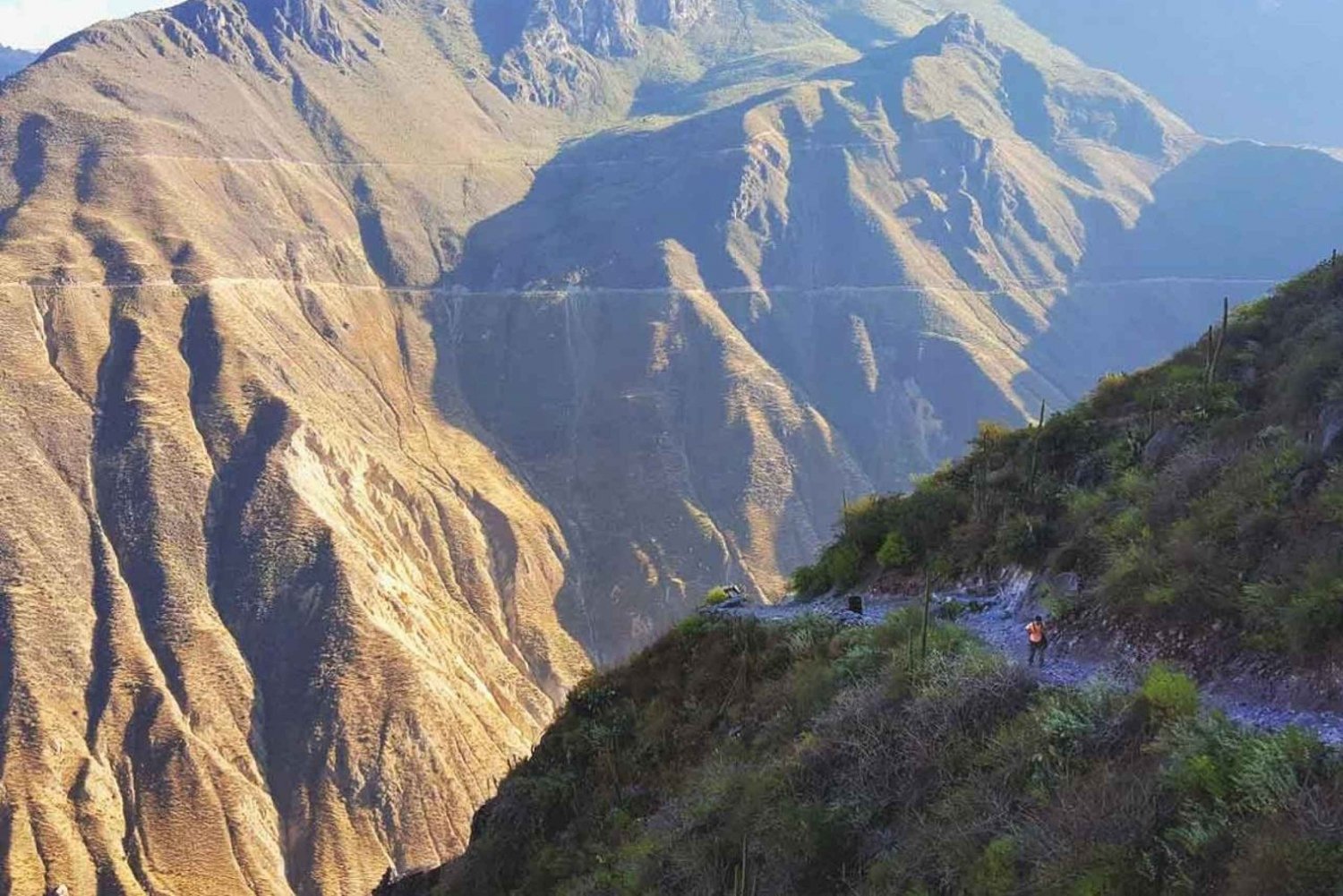 Excursion d'une journée au Canyon de Colca + Transfert à Puno