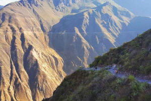 Endagsutflukt til Colca Canyon + transport til Puno