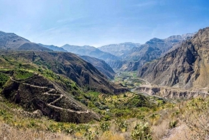 Ein Tagesausflug zum Colca Canyon + Transfer nach Puno