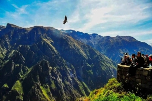 Ein Tagesausflug zum Colca Canyon + Transfer nach Puno