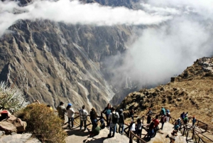 Ein Tagesausflug zum Colca Canyon + Transfer nach Puno