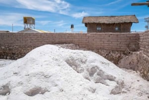 Excursion d'une journée (salines d'Uyuni)