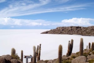 Overnight Bus Ride| Uyuni Salt Flat Adventure from La Paz