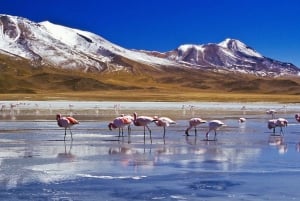 Peru and Bolivia 16 days 15 nights