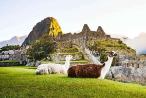 Peru and Bolivia Tour 8D/7N