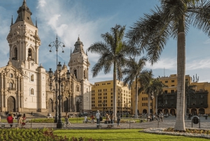 Peru in 15 days: Lima, Machu Picchu, Iquitos, Puno, Arequipa