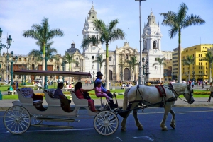 Peru på 15 dage: Lima, Machu Picchu, Iquitos, Puno, Arequipa