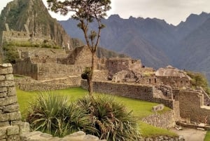 Peru på 15 dage: Lima, Machu Picchu, Iquitos, Puno, Arequipa