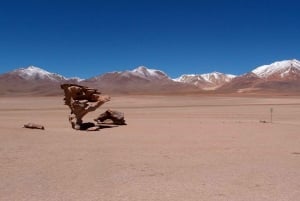 PRIV 3D Tour Salar and colored lagoon Round trip from Uyuni