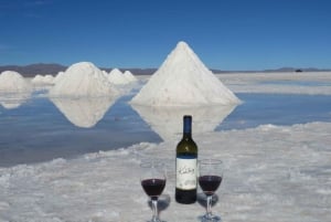 Private 3D excursion to the Salar de Uyuni, colorful lagoons