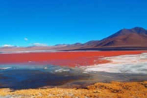 Private 3D excursion to the Salar de Uyuni, colorful lagoons