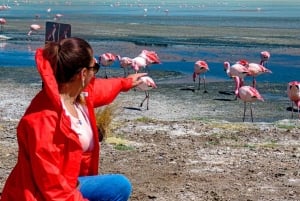 Private 3D excursion to the Salar de Uyuni, colorful lagoons