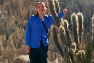 Tour privado de la ciudad con teleférico y visita al Valle de la Luna