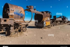 Escursione privata di un giorno al Salar de Uyuni con biglietti