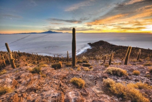 Prywatna wielodniowa wycieczka do Salar De Uyuni i Laguna Colorada