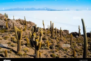 Prywatna wielodniowa wycieczka do Salar de Uyuni w Boliwii