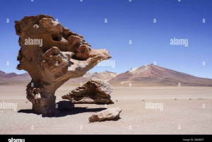 Meerdaagse tour naar de Salar de Uyuni in Bolivia