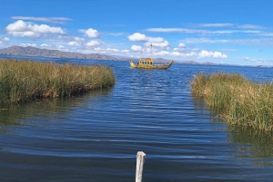 Privat dagstur til Tiwanaku og Titicaca fra La Paz