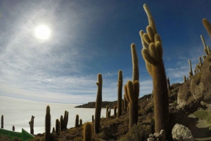 Yksityinen retki 3 päivää Salar de Uyuni ja Laguna Colorada