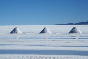 Private tour in the Salar de Uyuni with wine tasting