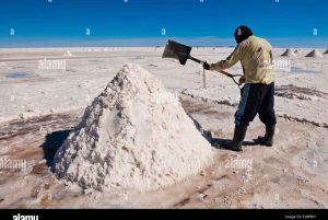 Private Tour to the Uyuni Salt Flats