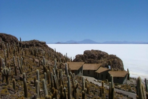 Private Tour to the Uyuni Salt Flats