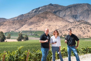 Privat vintur i Maipódalen och Anderna