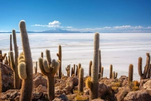 PROGRAM 3 DNI 2 NOCE UYUNI - UYUNI USŁUGA WSPÓLNA