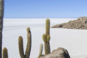 PROGRAMMA 3D/2N UYUNI - SAN PEDRO DE ATACAMA GEDEELDE SERVICE