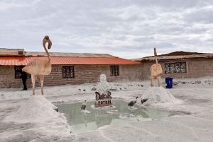Puno || 3-day excursion to La Paz and the Uyuni salt flats