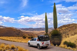 Puno: Full Day Quechua Route + Tinajani Canyon + Spanish/English Tour Guide