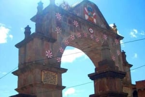 Puno: passeio guiado de um dia com vistas para o Lago Titicaca + navio-museu