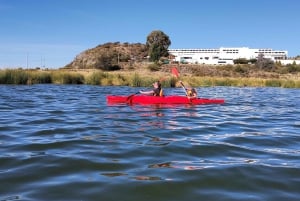 Puno: Uros Floating Island Kayak Experience at Lake Titicaca