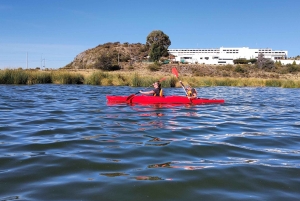Puno: Kajakoplevelsen Uros Floating Island ved Titicaca-søen