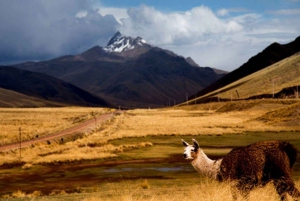 Viaggio di andata e ritorno Cusco: La via del sole + 1D a Puno con hotel