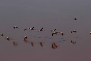 Viaje de ida y vuelta al Salar de Uyuni y las Lagunas de Colores