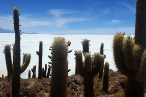 Viaje de ida y vuelta al Salar de Uyuni y las Lagunas de Colores