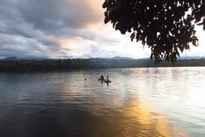 Rurrenabaque: Amazonas djungel och pampas, 4-dagars tur