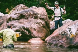 Rurrenabaque: Amazonas djungel och pampas, 4-dagars tur