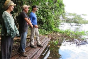 Rurrenabaque: Amazonas djungel och pampas, 4-dagars tur