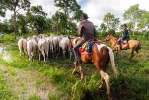 Excursão de 3 dias pela vida selvagem e cultura da Amazônia boliviana: Pampa y Selva